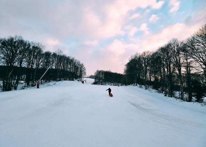 Feriehus La Marmotte Tranquille *